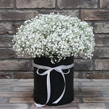 Цветочная композиция из Гипсофила в шляпной коробке в Тугулуке