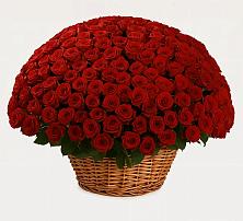 Премиум букет из: Розы в Тугулуке